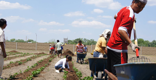 World Refugee Day 2012 – Giving Back To Community Project